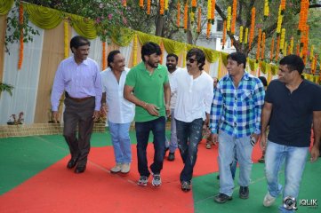 Bengal Tiger Movie Opening
